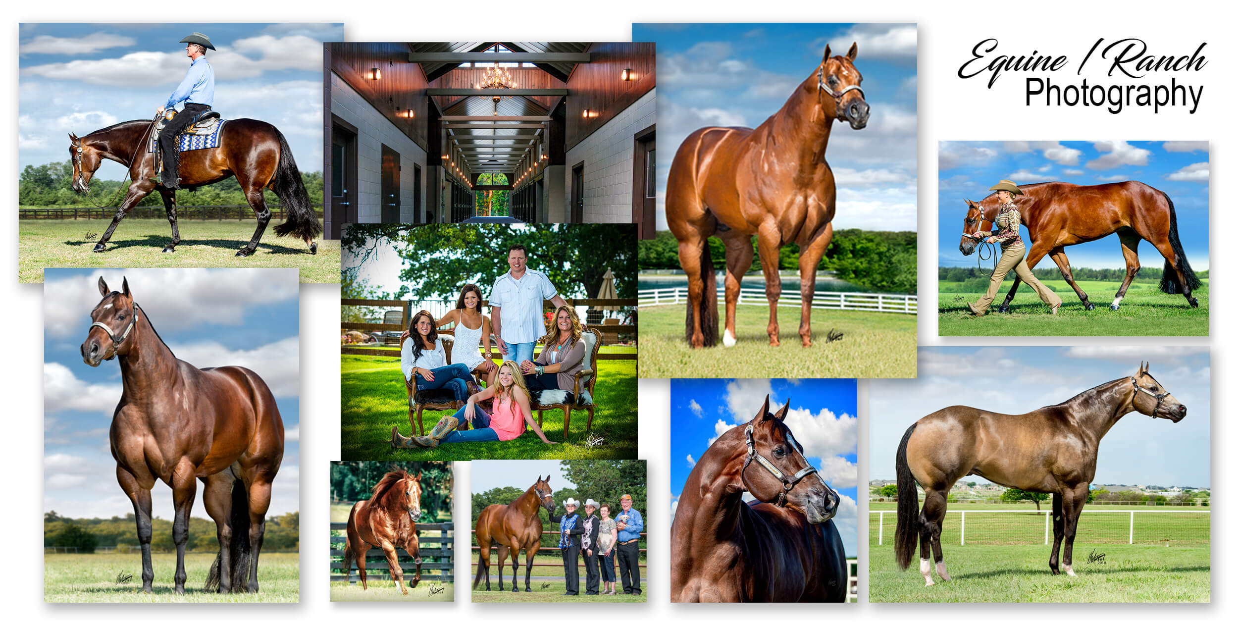 Equine / Ranch Photography